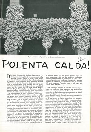 Polenta calda.