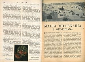 Malta millenaria e quotidiana.