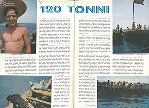 Seller image for 120 tonni. for sale by Libreria Piani