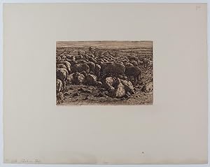 Bild des Verkufers fr Schafe im Pferch. zum Verkauf von Galerie Joseph Fach GmbH