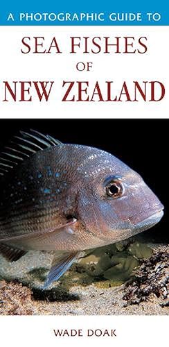 Seller image for Photographic Guide To Sea Fishes Of New Zealand (Paperback) for sale by AussieBookSeller