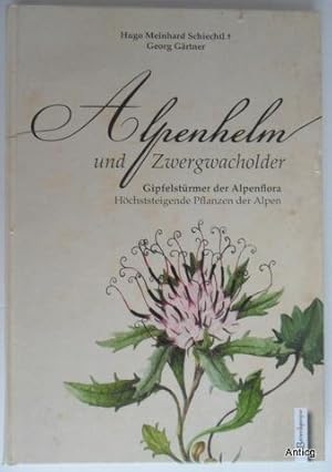 Bild des Verkufers fr Alpenhelm und Zwergwacholder. Gipfelstrmer der Alpenflora. Hchststeigende Pflanzen der Alpen. zum Verkauf von Antiquariat Gntheroth