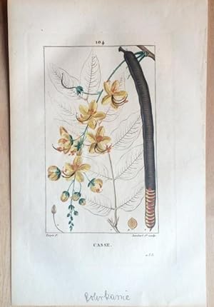 Casse. Original Kupferstich von Jean Lambert - Pierre Turpin um 1815 Pl.104, von Jean Lambert - P...