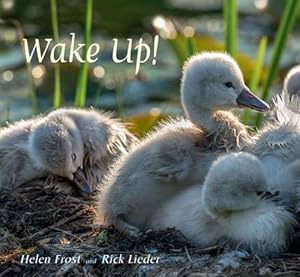 Seller image for Wake Up! (Hardcover) for sale by Grand Eagle Retail