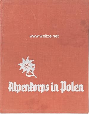 Alpenkorps in Polen.