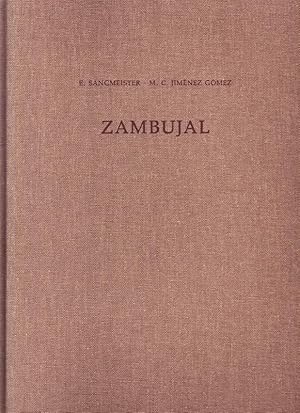 Bild des Verkufers fr Zambujal. Kupferfunde aus den Grabungen 1964 bis 1973. Los amuletos de las campanas 1964 hasta 1973. Deutsches Archologisches Institut Madrid. Madrider Beitrge Band 5 - Zambujal Teil 3. zum Verkauf von Buchhandel Jrgens