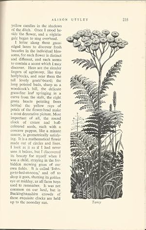 Bild des Verkufers fr The Saturday Book, being the ninth annual issue of this celebrated repository of curiosities and looking-glass of past and present zum Verkauf von Cameron House Books