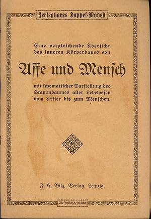 Eine vergleichende Übersicht des inneren Körperbaues von Affe und Mensch,mit schematischer Darste...