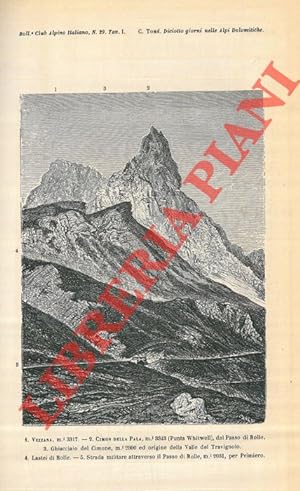 Bollettino del Club Alpino Italiano. Anno 1877. Vol. XI, n. 29 - 30 - 31 - 32.