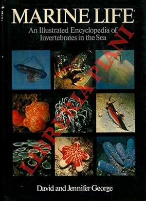 Bild des Verkufers fr Marine life. An illustrated encyclopedia of invertebrates in the sea. zum Verkauf von Libreria Piani