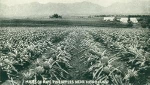 Imagen del vendedor de Miles Of Ripe Pineapples Near Honolulu. a la venta por Wittenborn Art Books