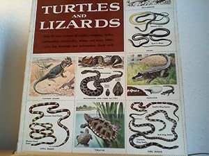 Bild des Verkufers fr Snakes, Turtles and Lizards. A Golden Stamp Book. zum Verkauf von Antiquariat im Schloss