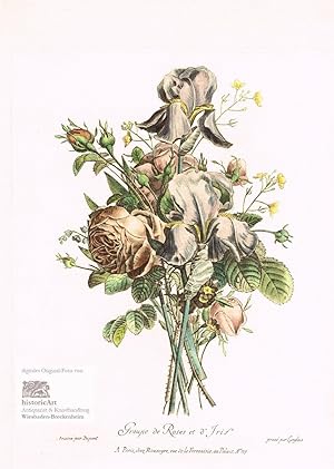 Groupe de Roses et d'Iris. Strauß von Rosen und Schwertlilien. Altkolorierte Lithographie von Lan...
