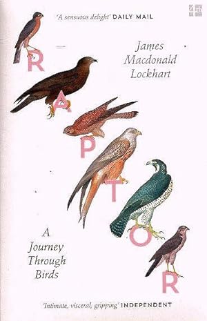 Imagen del vendedor de Raptor. A journey through birds. a la venta por C. Arden (Bookseller) ABA