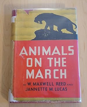 Immagine del venditore per Animals On The March venduto da Bradley Ross Books