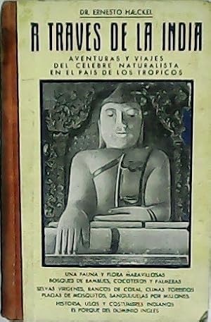 Imagen del vendedor de A travs de la india. Tomo I y II. Traduccin de G. de Bolders y Feder Spiegel. a la venta por Librera y Editorial Renacimiento, S.A.