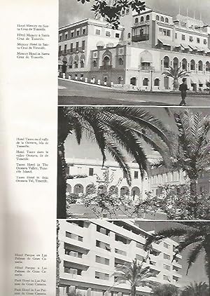 Imagen del vendedor de LAMINA 4986: SANTA CRUZ DE TENERIFE HOTELES MENCEY TAORO Y PARQUE a la venta por EL BOLETIN
