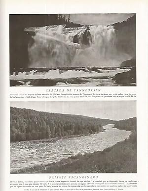 Immagine del venditore per LAMINA 3251: SUECIA. Cascada de Tannforsen. Rio Fax venduto da EL BOLETIN