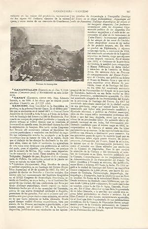Image du vendeur pour LAMINA ESPASA 16133: Ruinas de Ganagobie mis en vente par EL BOLETIN