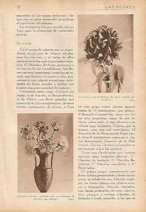 Seller image for LAMINA 5473: Peonia roja y jarron con claveles for sale by EL BOLETIN