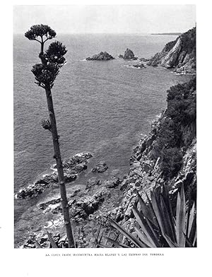 Bild des Verkufers fr LAMINA 5648: La costa desde la Marimurtra hacia Blanes zum Verkauf von EL BOLETIN