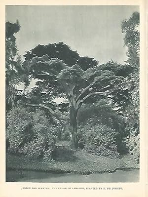 Bild des Verkufers fr LAMINA 1820: PARIS. Jardin de las Plantas zum Verkauf von EL BOLETIN
