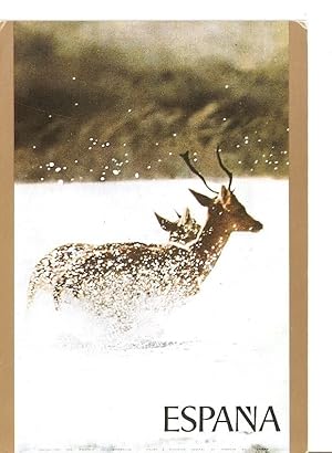 Imagen del vendedor de Postal 040275 : Carteles Turisticos de Espaa. Animales en la nieve a la venta por EL BOLETIN