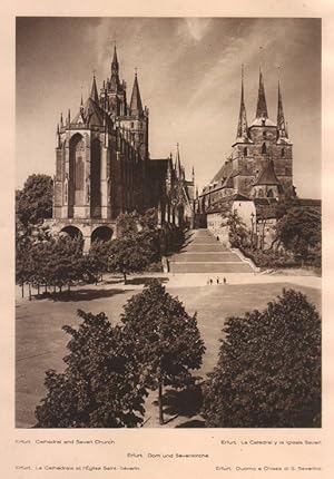 Seller image for Lamina/Foto KURT HIELSCHE Deuschtland No. 100: ERFURT. CATHEDRAL AND SEVERI CHURCH for sale by EL BOLETIN