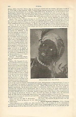 Immagine del venditore per LAMINA ESPASA 12591: Africa por Rosalba Carriera venduto da EL BOLETIN