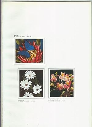 Imagen del vendedor de El Arte a su alcance lamina 23: Fauna y flora: Nectar, Margaritas, Lirios Silvestres a la venta por EL BOLETIN