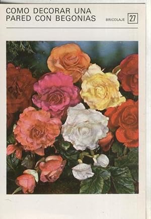 Bild des Verkufers fr Postal-Ficha Jardineria numero 27 Como decorar una pared con Begonias zum Verkauf von EL BOLETIN