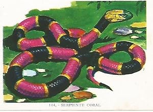 Immagine del venditore per CROMO no 184. Serpiente coral venduto da EL BOLETIN