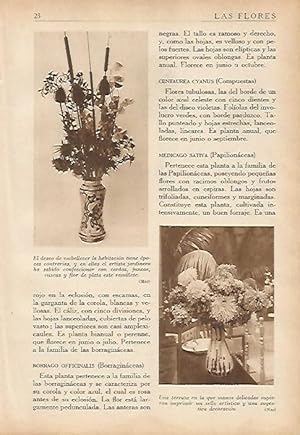 Seller image for LAMINA 5479: Jarrones con flores for sale by EL BOLETIN