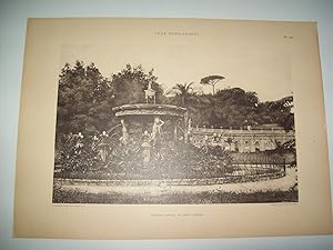 Seller image for Lamina 1169: VILLA DORIA-PAMFILI. FONTAINE CENTRALE DU JARDIN INFERIEUR for sale by EL BOLETIN