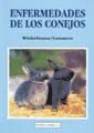 Seller image for Enfermedades de los conejos for sale by AG Library