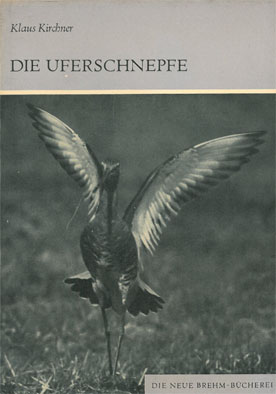 Seller image for Die Uferschnepfe. Limosa limos (Neue Brehm-Bcherei. Heft 413) for sale by Schueling Buchkurier