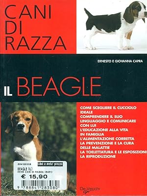 Il beagle
