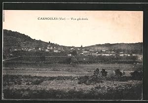 Carte postale Carnoules, vue générale