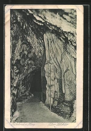 Ansichtskarte Hermannshöhle, der Wächter