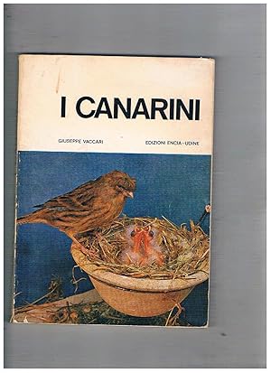 Imagen del vendedor de I canarini. Serinus canarius canarius. a la venta por Libreria Gull