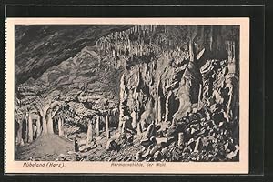 Ansichtskarte Hermannshöhle, der Wald, Stalagtiten und Stalagmiten