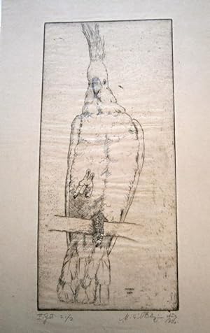 "Gereizter Kakadu". Radierung auf Nickelzink, 1920. Vom Künstler mit Bleistift überarbeitet. 2. Z...