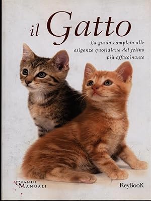 Il gatto