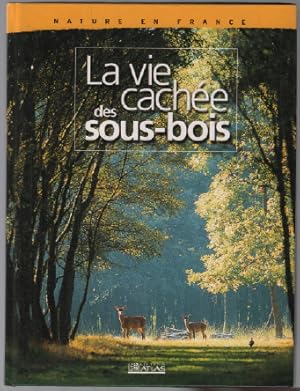 La vie cachée des sous bois