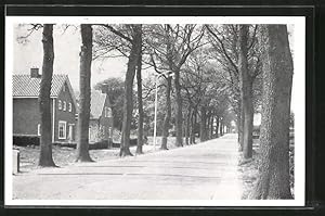 Ansichtskarte Tuk-Steenwijkerwold, Rijksweek, Strassenpartie