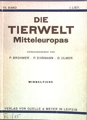 Bild des Verkufers fr Wirbeltiere; Die Tierwelt Mitteleuropas, VII. Band, 1. Lieferung; zum Verkauf von books4less (Versandantiquariat Petra Gros GmbH & Co. KG)