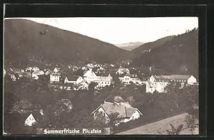 Ansichtskarte Pürstein, Blick über den Ort