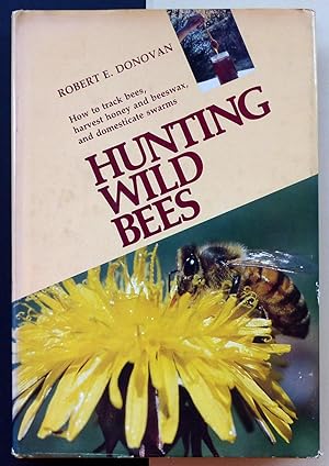Hunting wild bees.