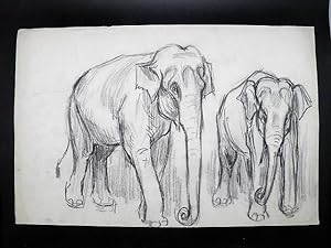 2 Elephants de cirque. Dessin original de FERNEL.