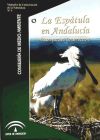 Immagine del venditore per La esptula en Andaluca: bases para su conservacin venduto da Agapea Libros